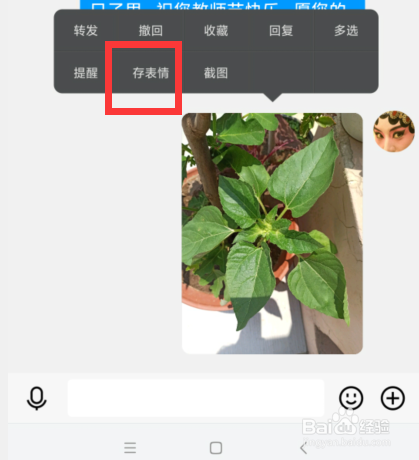 手机QQ如何将对话框里的图片存为表情