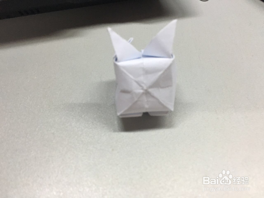 小萌物－－兔兔