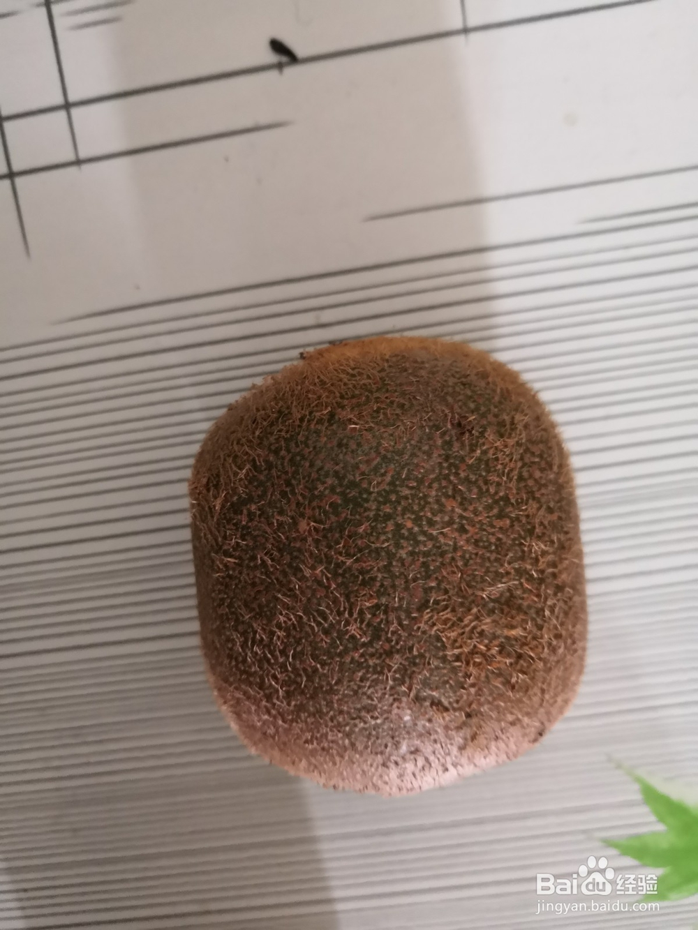 如何制作猕猴桃酸奶
