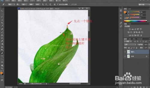ps实用小技巧：快速抠出植物