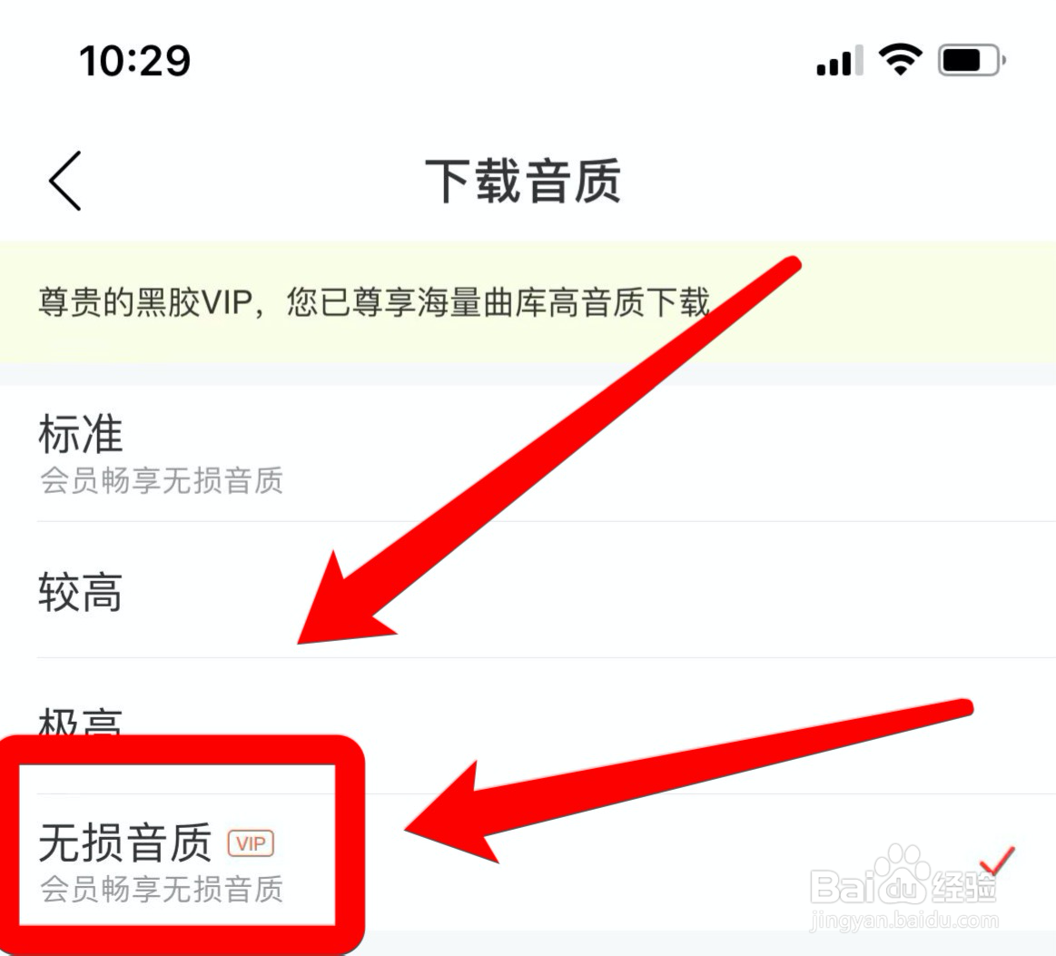 网易云音乐app如何自动下载无损音质