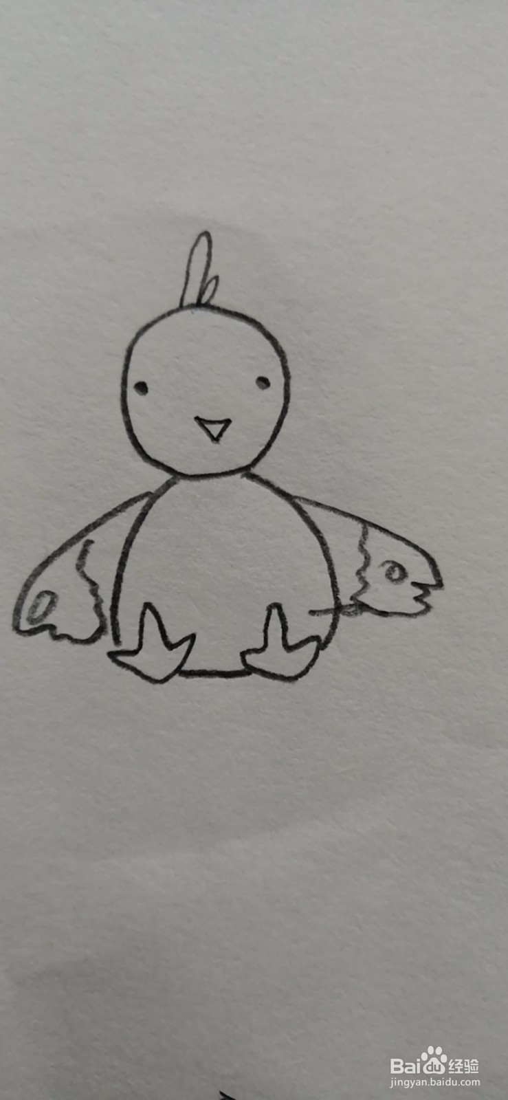 简笔画-可爱卡通小鸡简笔画