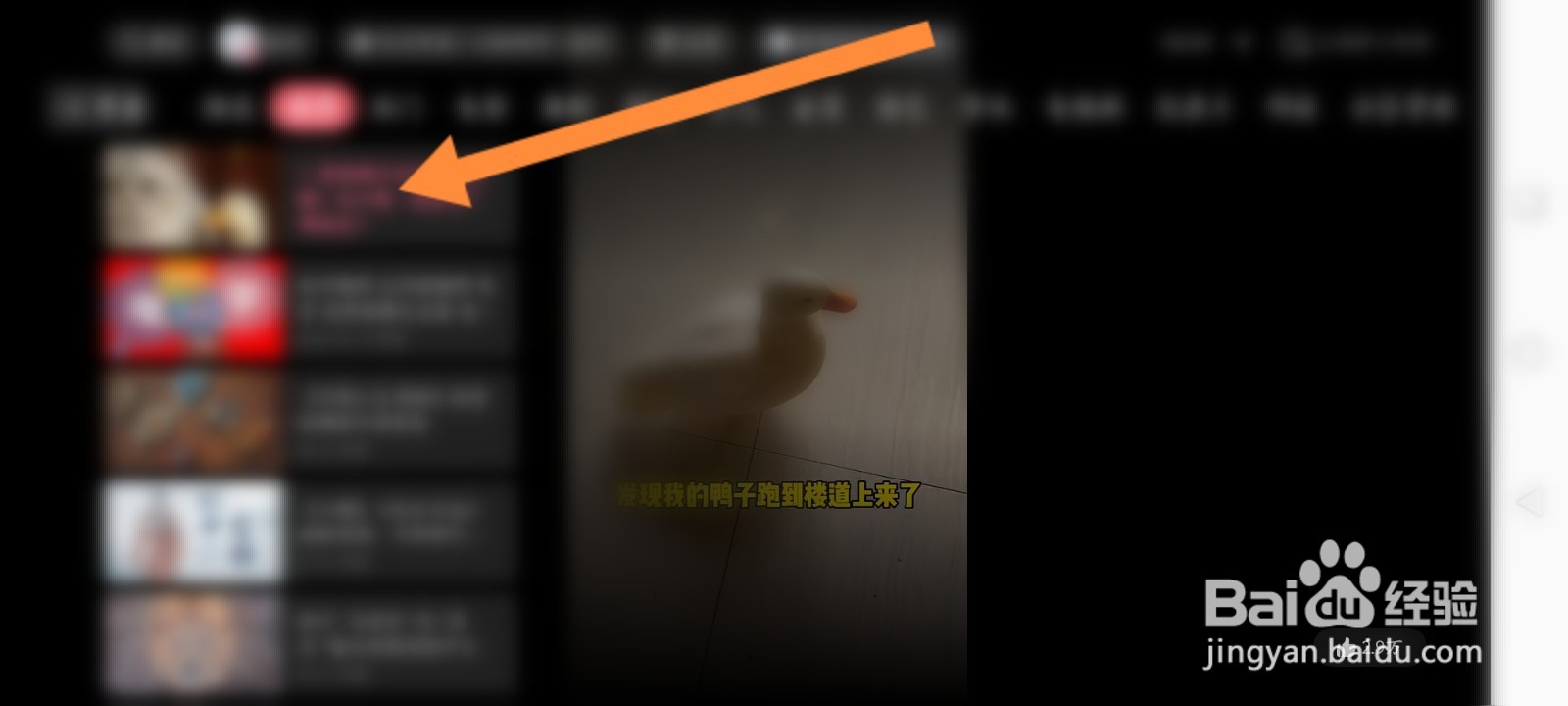 云视听小电视怎么关注up主