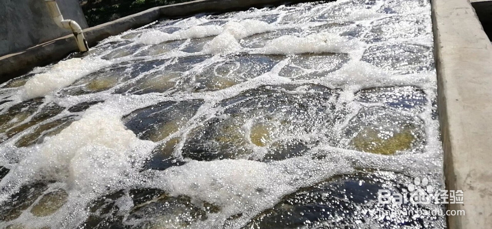 环保公司污水处理调试服务中需要注意哪些问题？