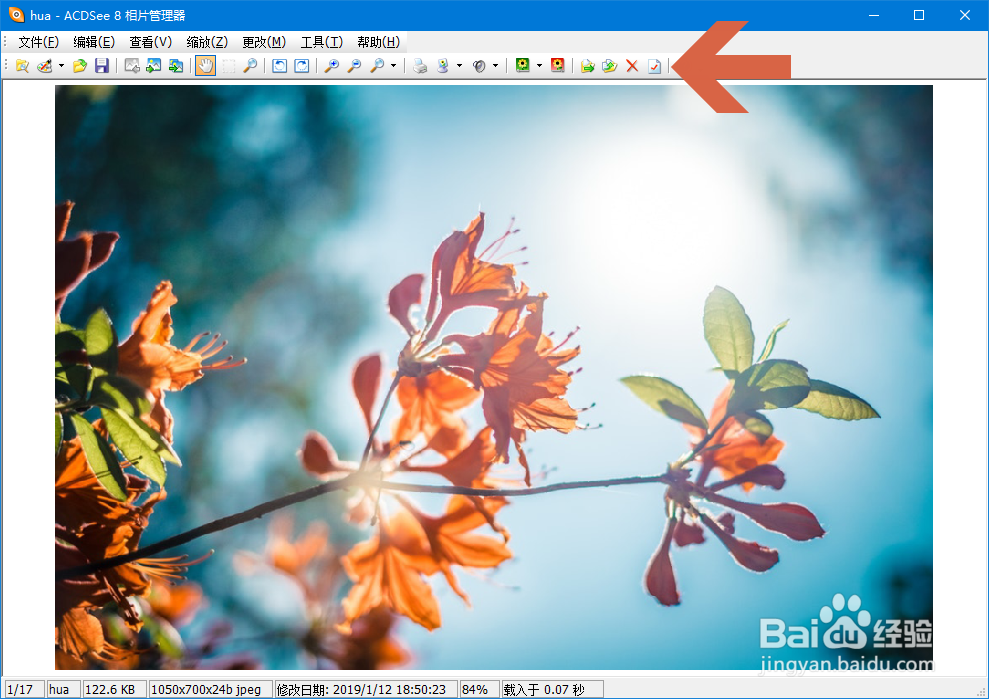 怎么让ACDSee8工具栏中的图标变成小图标