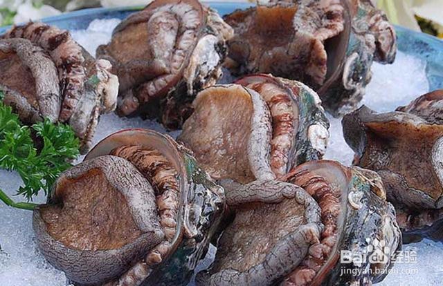 鲍鱼干怎么泡发
