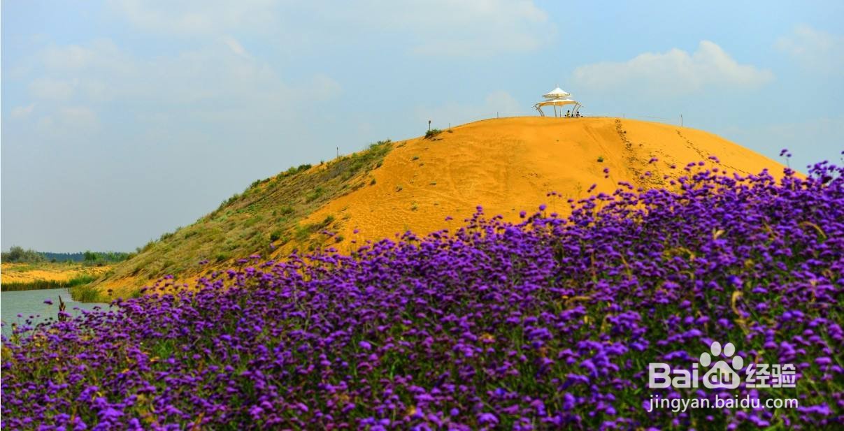 中卫市周边好玩的人气旅游景点推荐