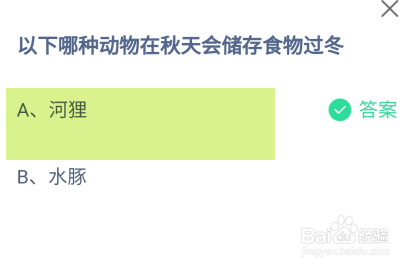 蚂蚁庄园2024.11.1：哪种动物在秋天会储存食物