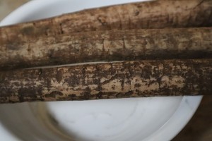 教你怎么做牛蒡祛痘汤