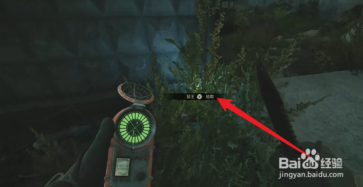 潜行者2切尔诺贝利之心鼠王怎么获得