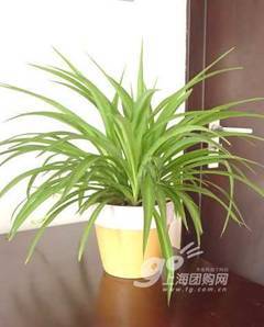 装修中怎样避免价格上当