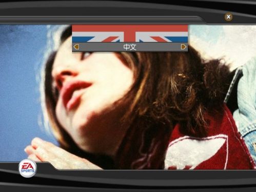 FIFA2007中文版图文介绍