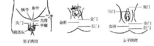 会阴穴位的作用和按摩方法 百度经验