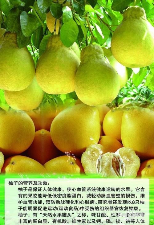 吃柚子的好处有哪些