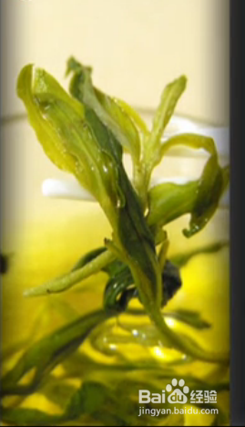 枸杞芽对人体有什么益处：[3]枸杞芽茶