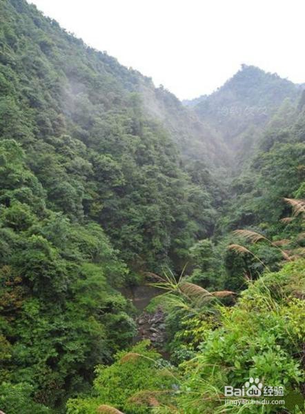 龙南九连山旅游攻略