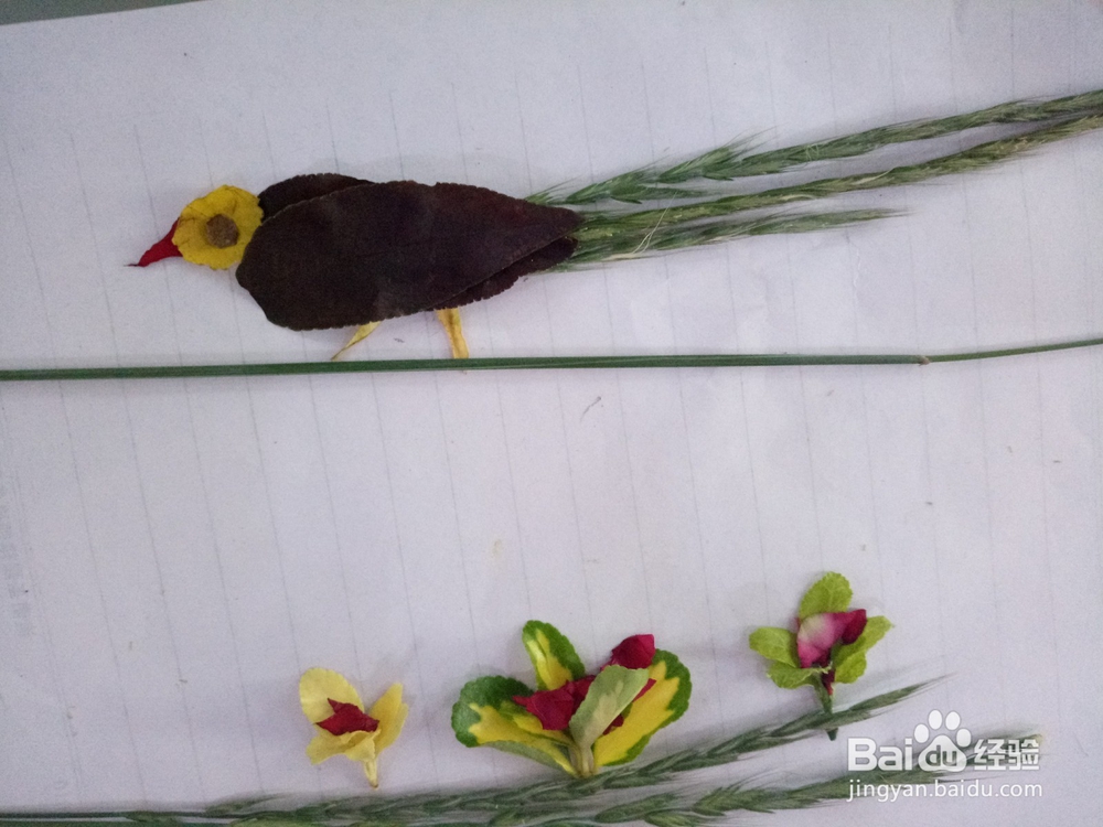 用植物手工制作长尾鸟②