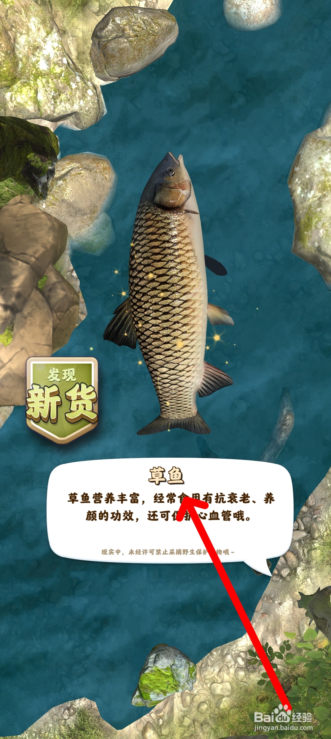 夺笋高手如何获得草鱼