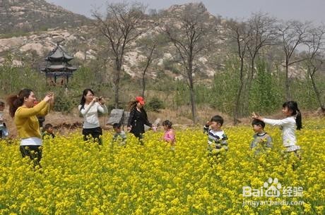 带孩子“踏青”四大注意