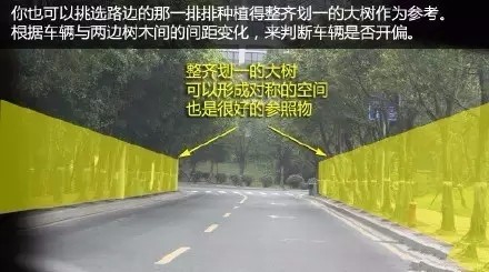 科目三你不得不知直线行驶技巧