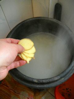 九孔藕煨猪弯弯