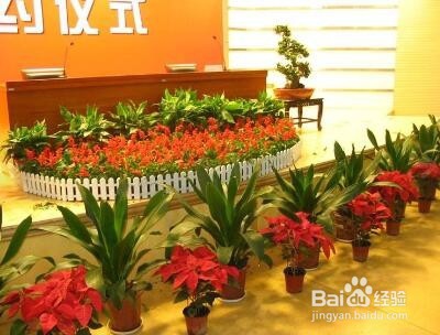 花店创业怎么做