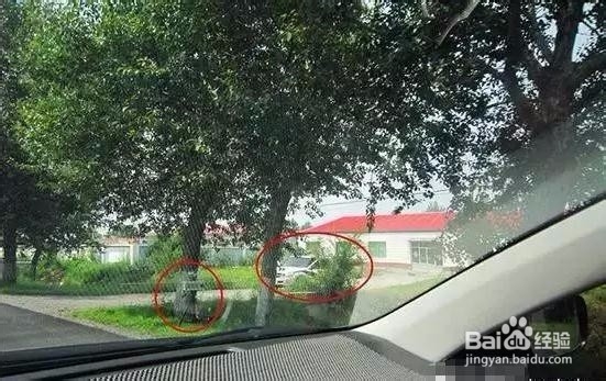 测速雷达探测器(电子狗)如何选择的方法