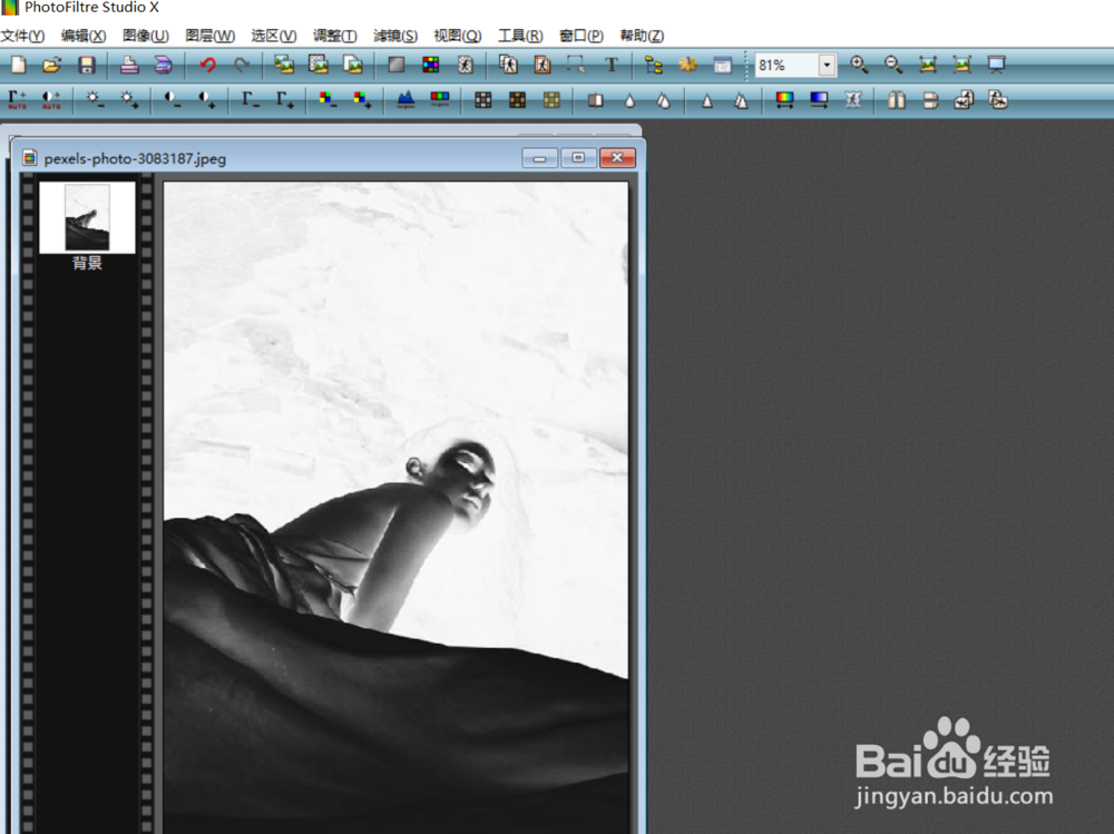 如何使用photofiltre对图片使用反片效果？