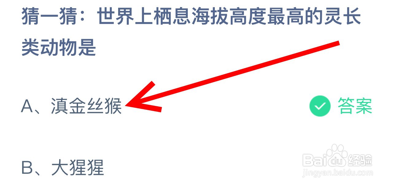 蚂蚁庄园世界上栖息海拔高度最高的灵长类动物