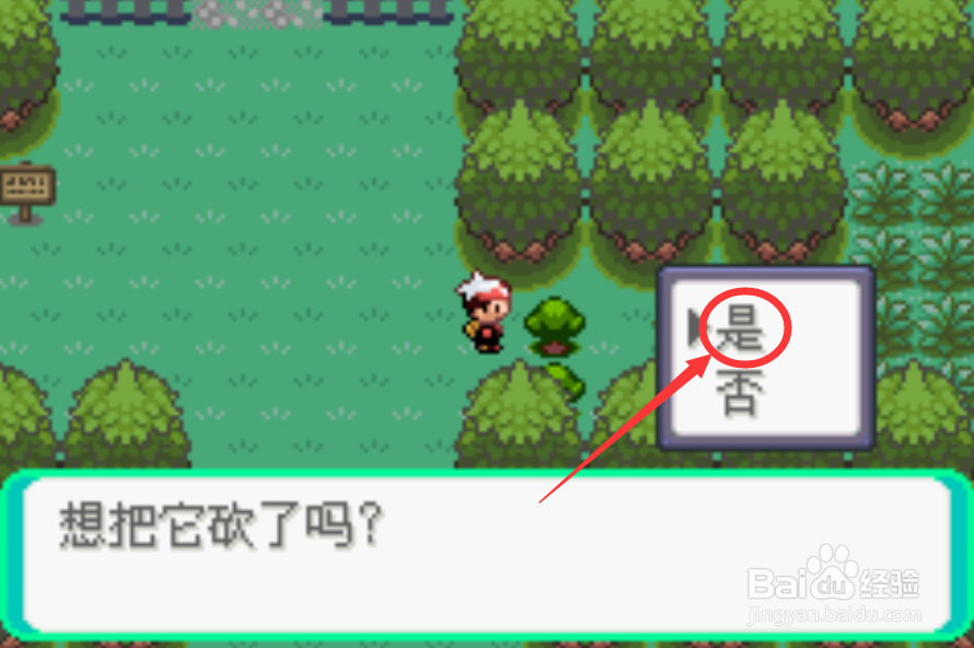 口袋妖怪漆黑的魅影奇迹种子怎么获得