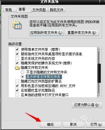 如何查看电脑中隐藏的文件