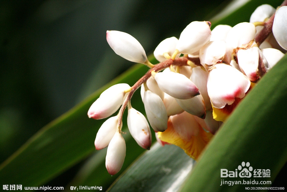 中考支招:满分作文临场应试技巧18招