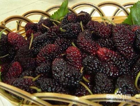 桑葚有哪些功效?