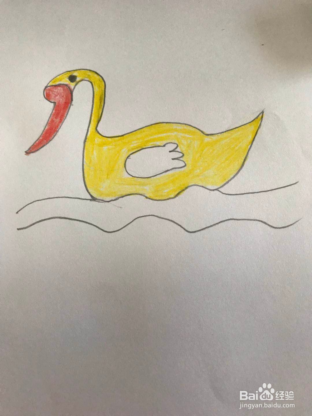 小天鹅的简笔画的画法