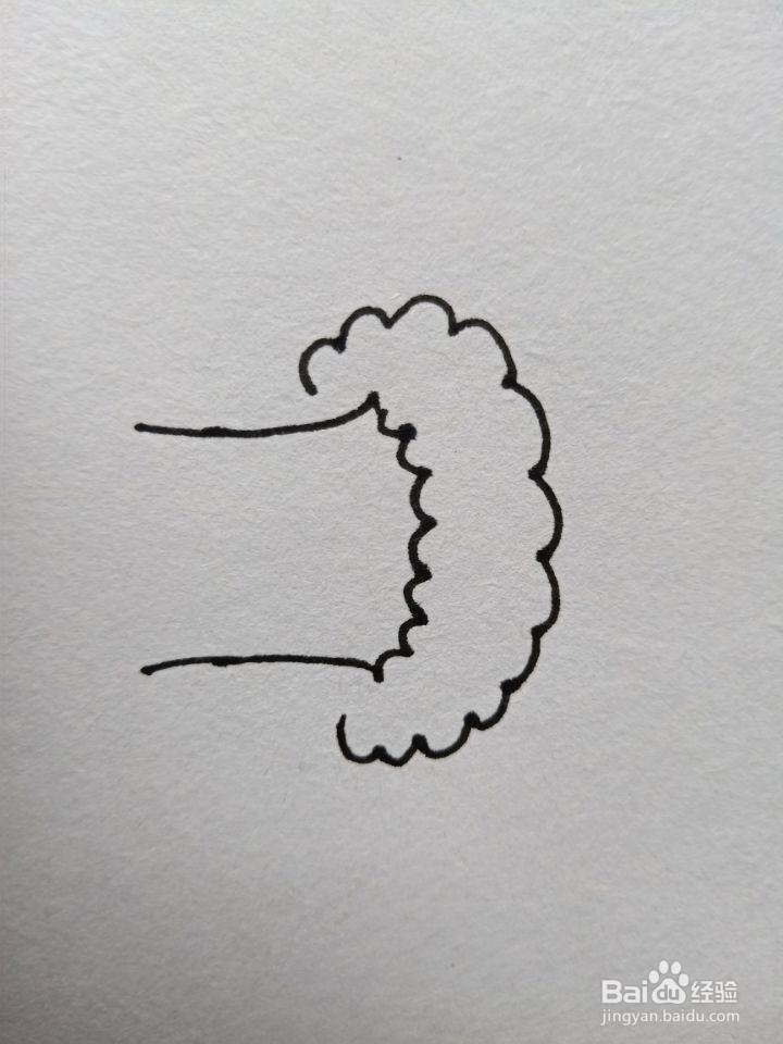 怎么画简笔画西兰花？