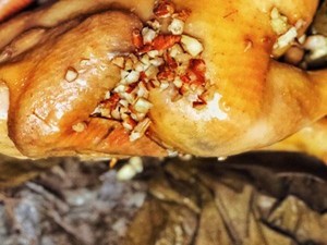 电饭煲荷叶鸡的做法