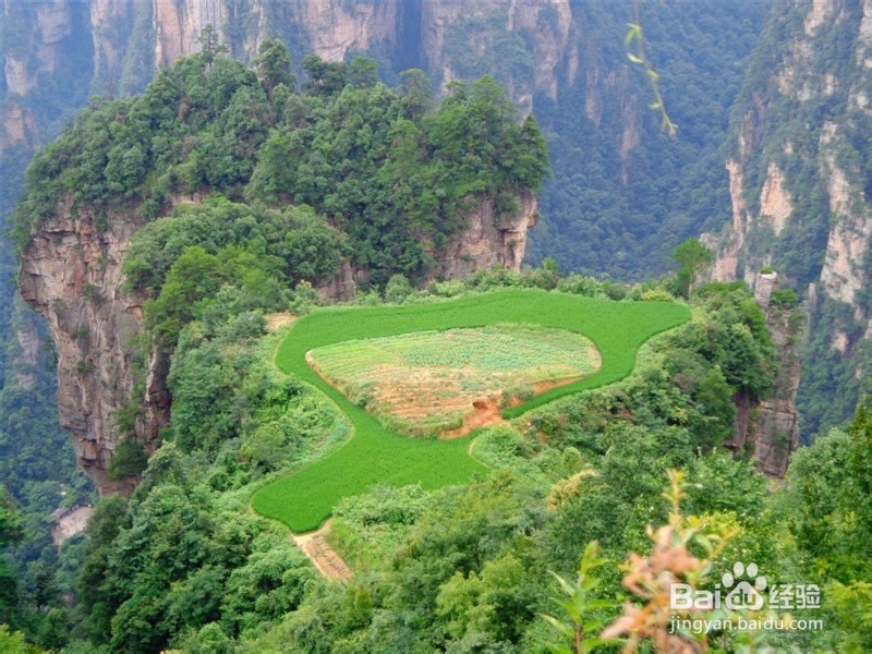 张家界汽车之家时尚主题客栈推荐攻略《图文版》