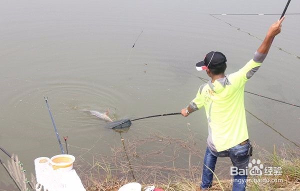 悬坠钓的操作动作
