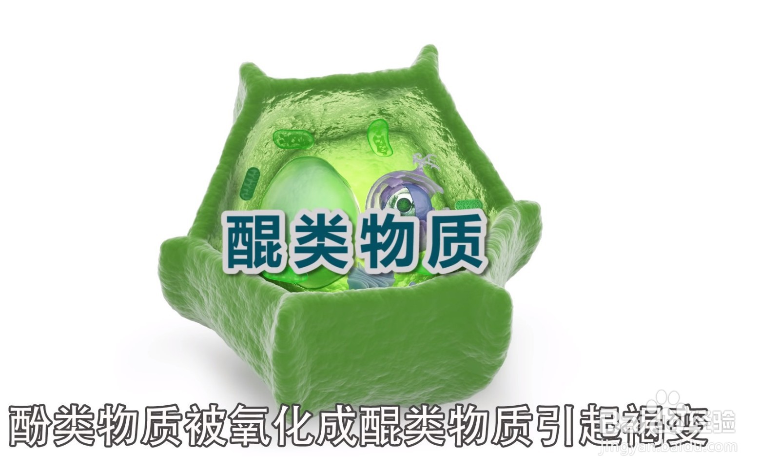 大白菜上有“黑点”还能吃吗?