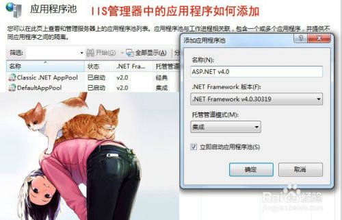 IIS管理器中的应用程序如何添加