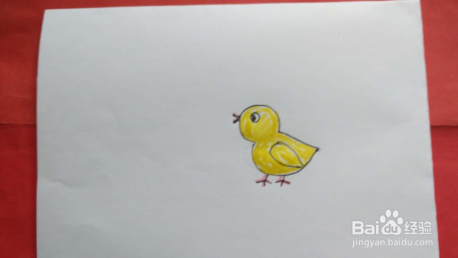 小鸡简笔画图片彩色