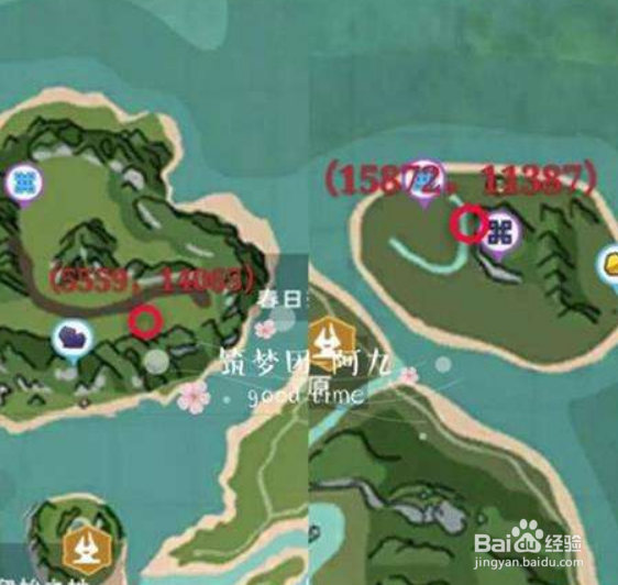 创造与魔法鲨鱼饲料怎么做