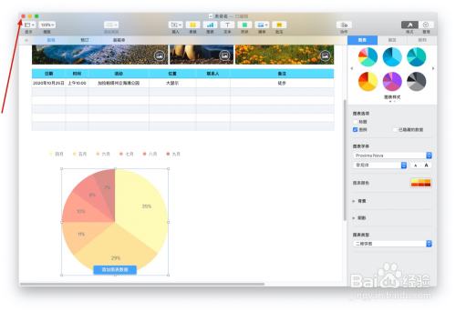 Numbers表格旅游计划中如何插入图表