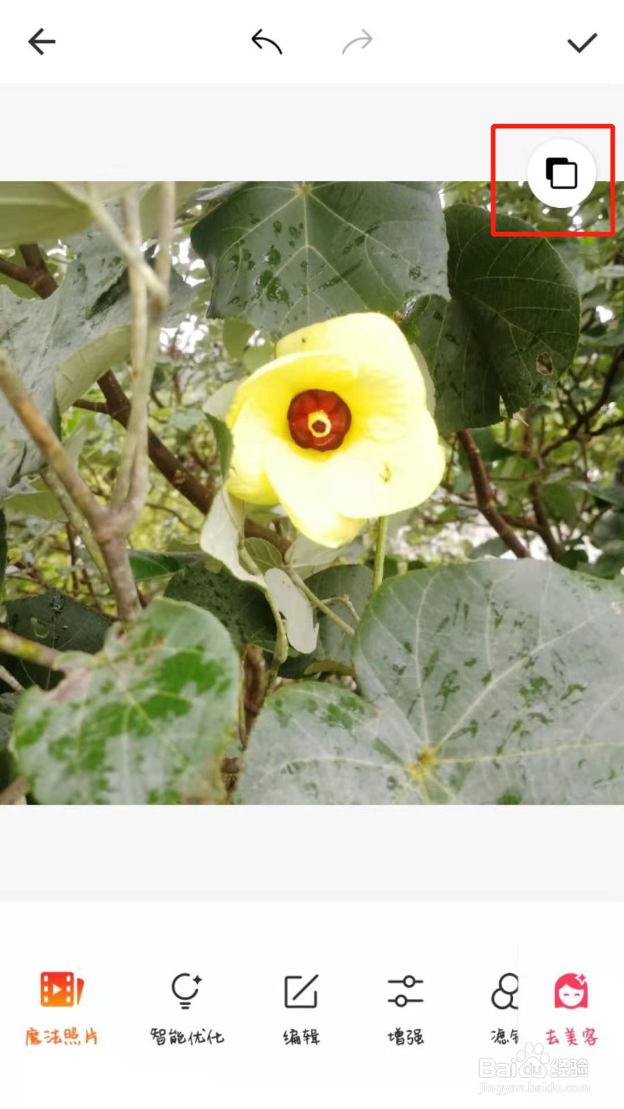 手机版美图秀秀怎么修改图片的大小