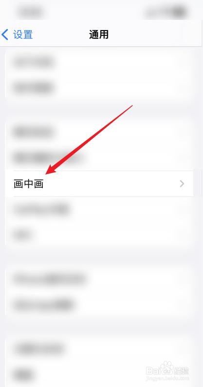 在苹果手机中怎么设置画中画