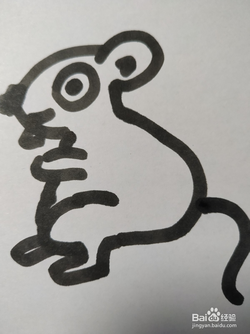 老鼠的简笔画技法42