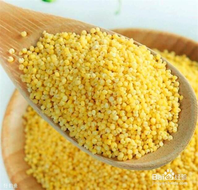 小米饵料配方制作方法