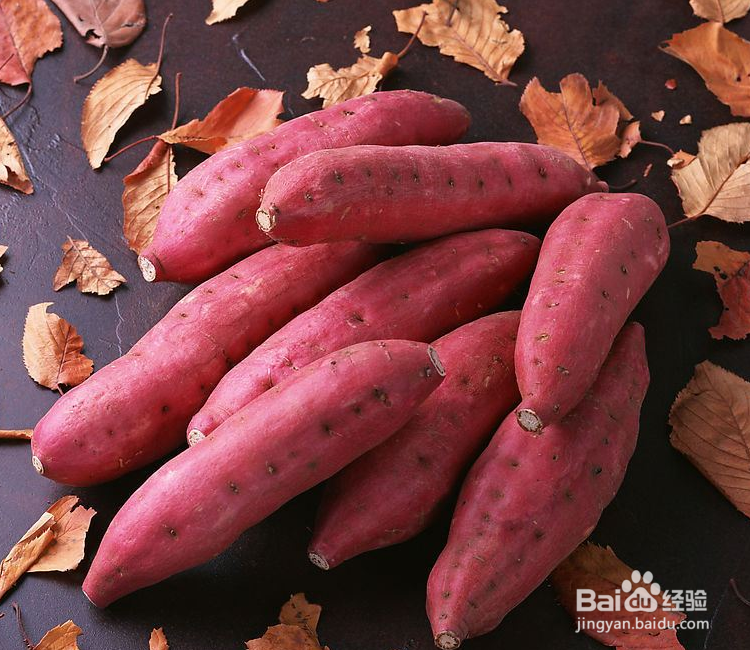 地瓜怎么种植方法如下