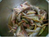 梅童鱼的家常做法