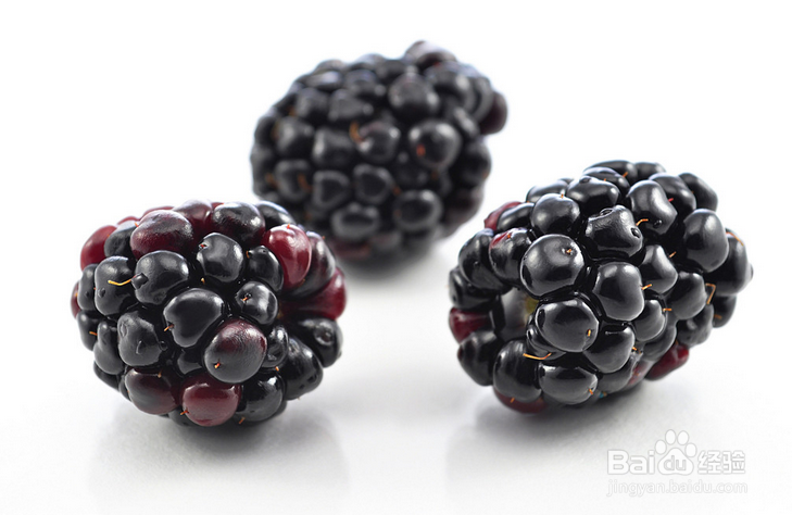 最有助于抵抗衰老的好食物